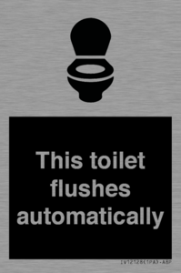 This toilet flushes automatically